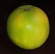 Moushumi or mushumbi lebu (Citrus limetta, a sweet lemon)