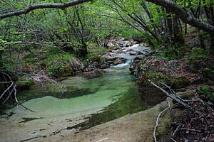 National Park of Abruzzo, Latium and Molise 02196