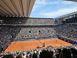 Novak Djokovic vs. Carlos Alcaraz, 2024 Summer Olympics men's singles tennis tournament, 2024-08-04 (96)