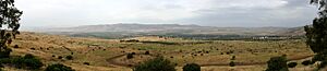 Nrthrdtrip 196PAN