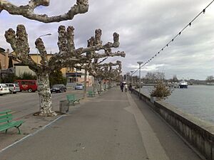 Nyon street on the shore of lake Geneve