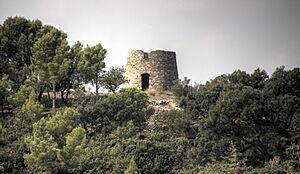 Palau-saverdera - Torre del Vent