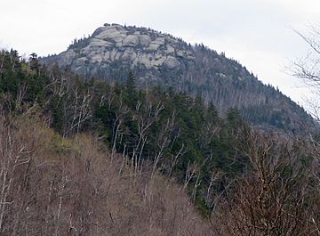 Pitchoff Mountain from Rt 73.jpg