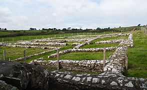 Rathfran Priory Cloister Foundations 2013 09 10