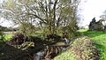 River Colne in Colney Heath Local Nature Reserve 1