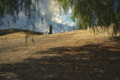 Rose Hill Cemetery, Black Diamond Mines National Register 91001425+California Historical Landmark 932