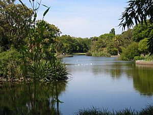 Royal Botanic Gardens View Melbourne