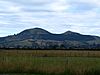 Saddle Hill, Dunedin, NZ.JPG