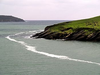Sandy Cove Island from the Irish Mainland - geograph.org.uk - 596664.jpg
