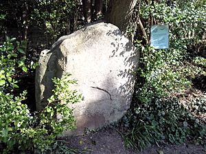 Sarsen Stone 1 at Max Gate, Dorchester.jpg