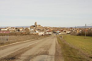 View of Sasamón, 2010