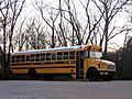 Shelby County Bus 99-55.jpg