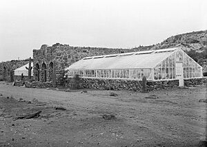 Smith Building with greenhouses. Circa 1926.