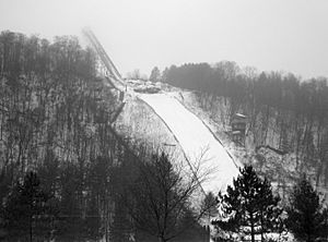 Snowflake ski jump (January 23, 2010).JPG