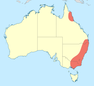 Map showing distribution of Spinaeschna in eastern Australia