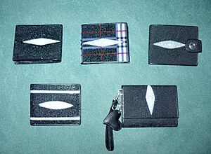 Stingray wallets