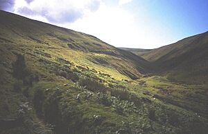 Swindale - geograph.org.uk - 19143