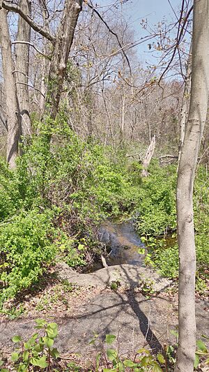 Tackapausha Preserve creek from Clark St HDR 2021 jeh