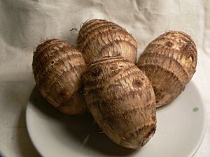 Taro corms 2
