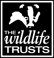 The Wildlife Trusts badger logo