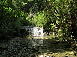 The Brook Waimarama Sanctuary