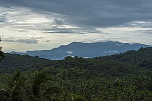 The Western Ghat from Kannavam Forest