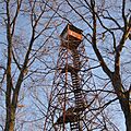 Tick Ridge Fire Tower-square