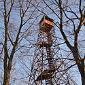 Thumbnail  image of Tick Ridge Fire Tower at Cabwaylingo State Forest