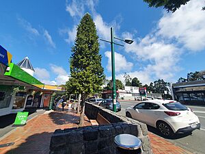 Titirangi 20221101 102719