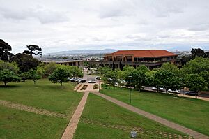 UCT Middle Campus - The Japonica Walk 01