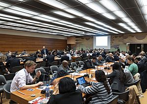 UNCTAD People-First Public-Private Partnerships