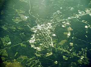 Union Springs AL from airplane