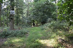 West, Abbot's and Lound Woods 7