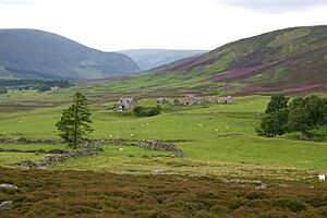 West Bank - Glen Esk - geograph.org.uk - 199498