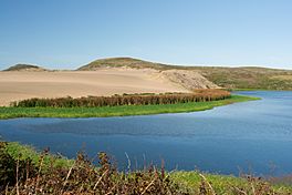 A lake surrounded by hedges, grasses and sand dunes