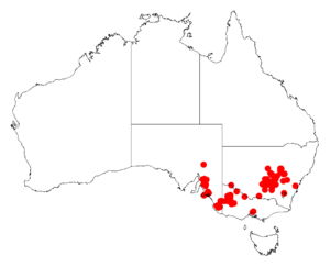 Acacia trineuraDistMap909.png