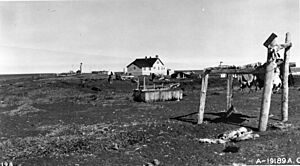 Alaska - Point Lay - NARA - 23942261