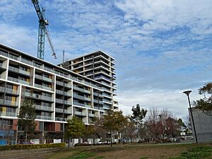Apartments, Ascot Avenue, Zetland, New South Wales (2010-07-10) 05