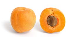 Apricot and cross section