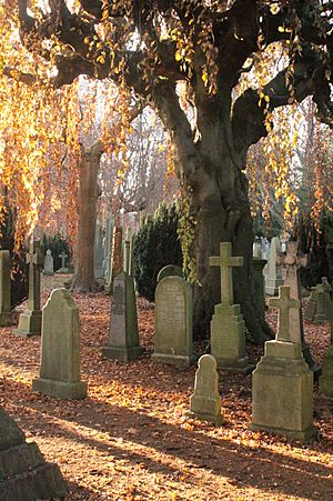 Autumn in Dean Cemetery, Edinburgh