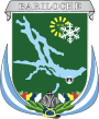 Bariloche Coats of Arms.svg