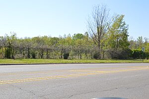Battery Williams eastern portion