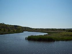 Betsie River Delta.jpg