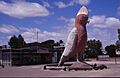 Big Galah Kimba