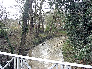 Bow Brook passes under Vyne Road (geograph 3318247).jpg