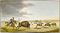 Buffalo Hunting in the Summer 1822