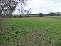 Bugbrooke Meadow nature reserve 2