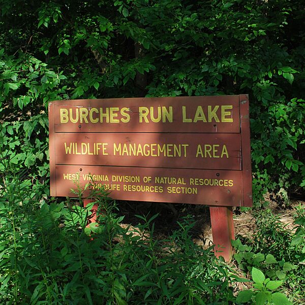 Burches Run WMA - Sign-square