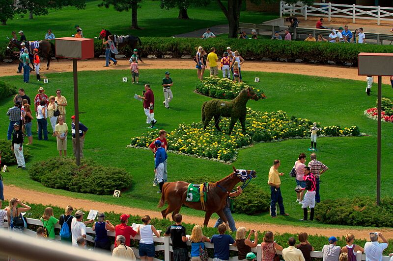 Canterbury Park paddock