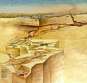 Carlsbad Cave map-NPS